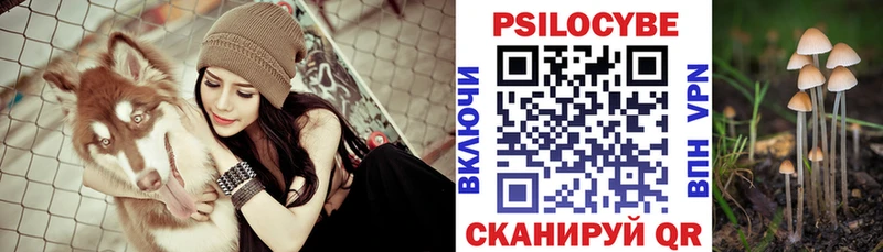 Купить закладки  Мурино  Галлюциногенные грибы Psilocybine cubensis 